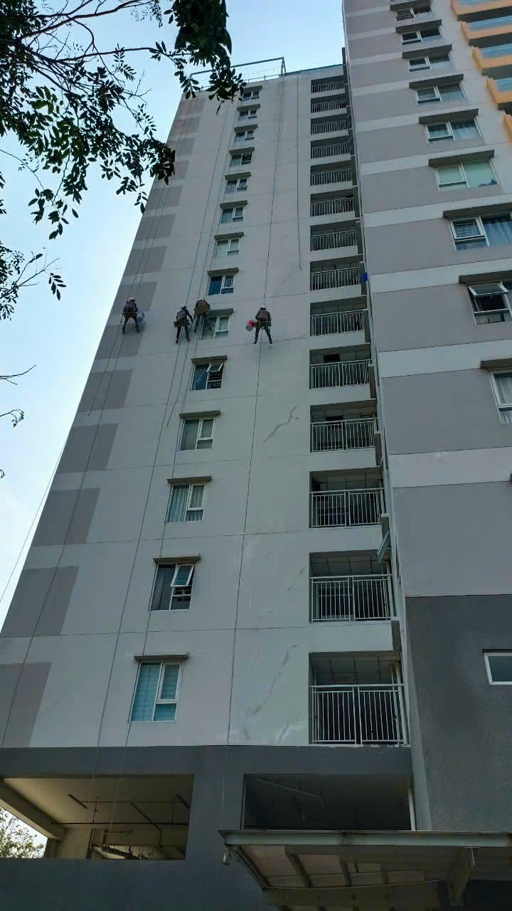 3df09e0f88d4388a61c539