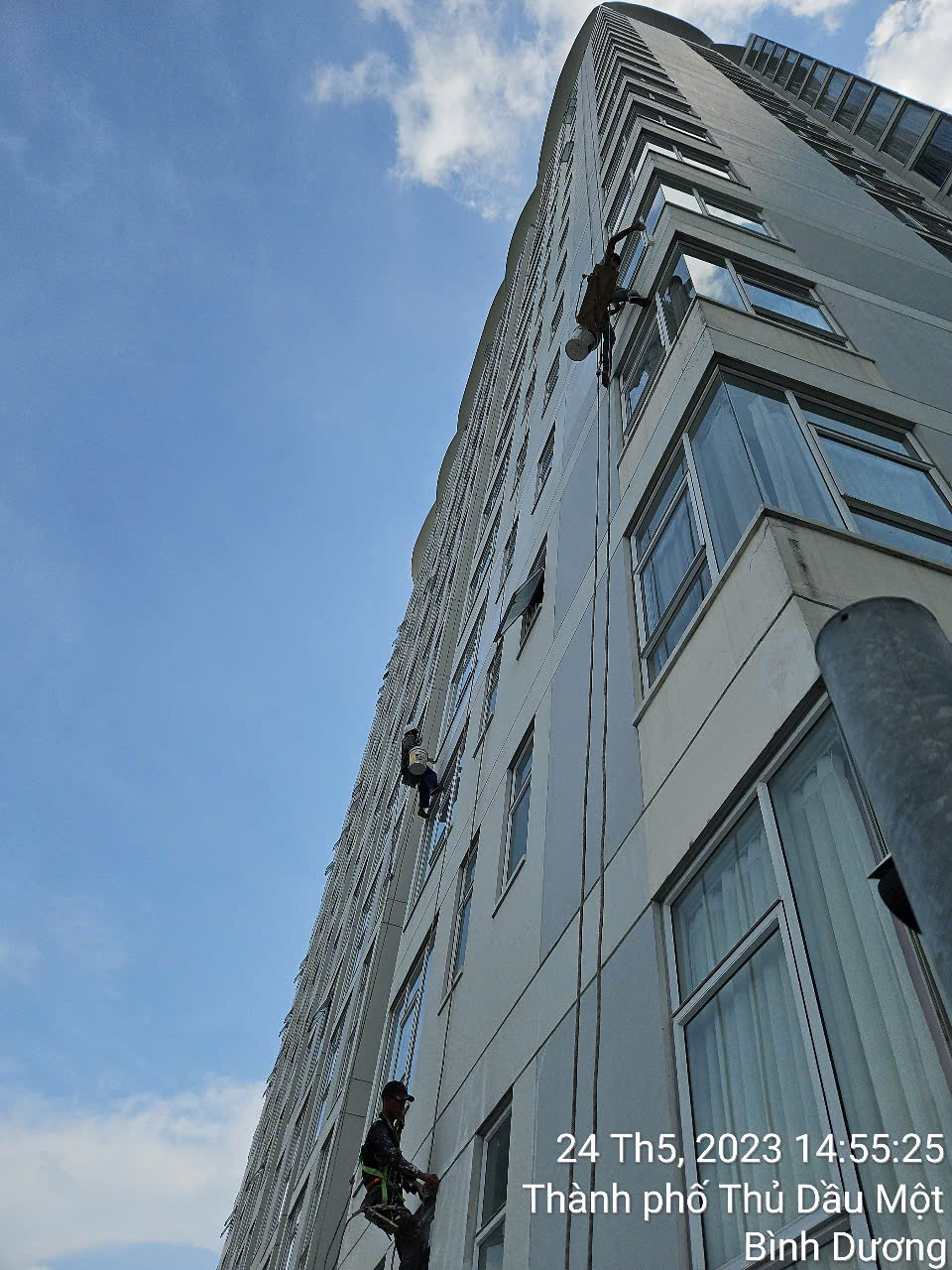 77531a3ff8e448ba11f559