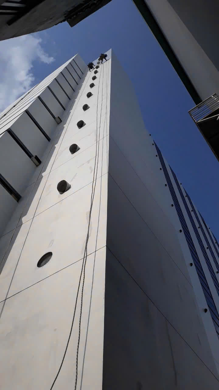 786d9ec4911f2141780e13