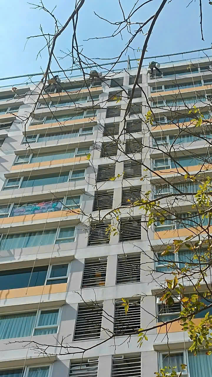 9ec20e3018eba8b5f1fa35