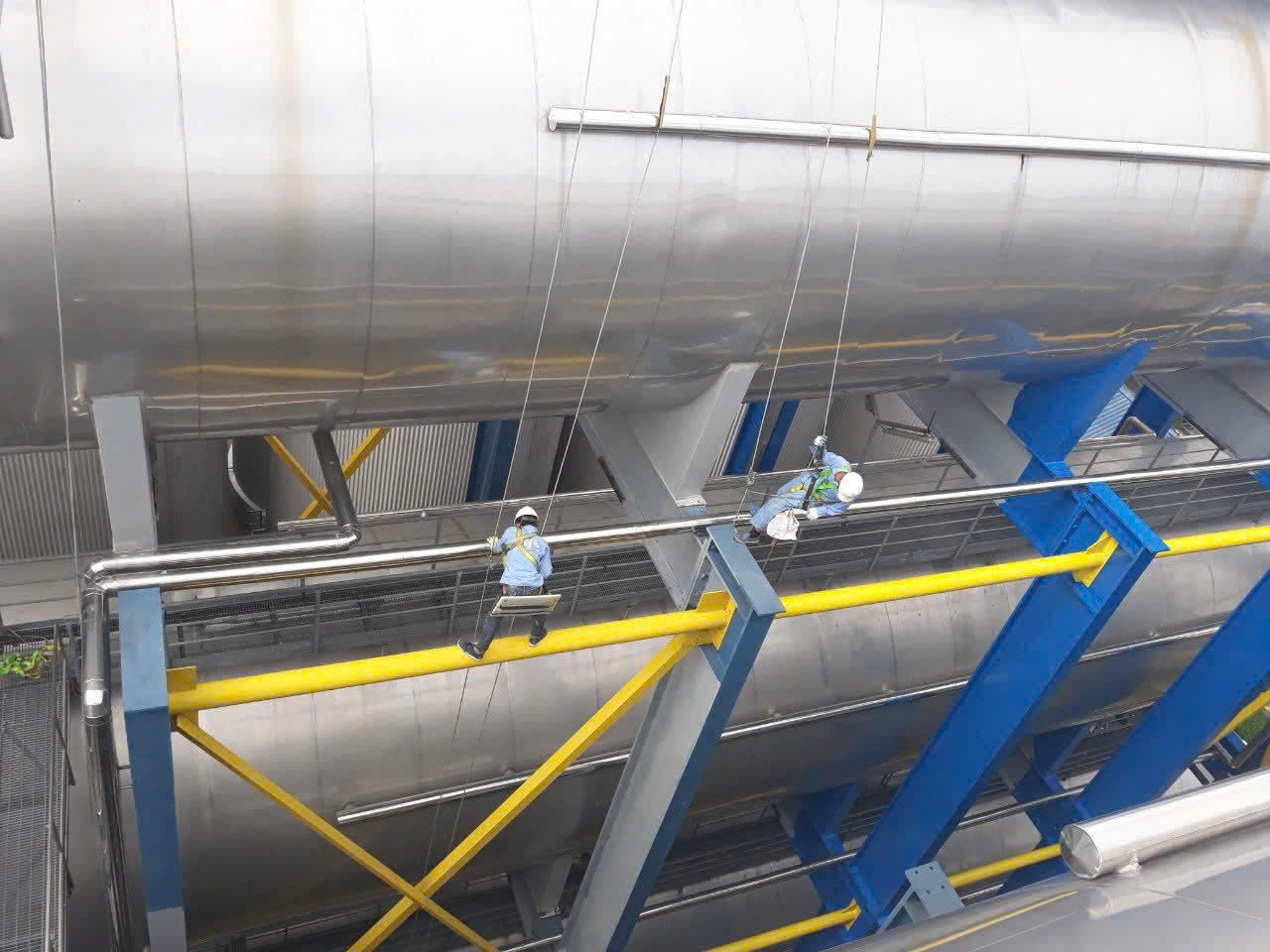 e263a1c7a11c1142480d12